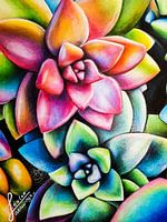 Succelent Drawing