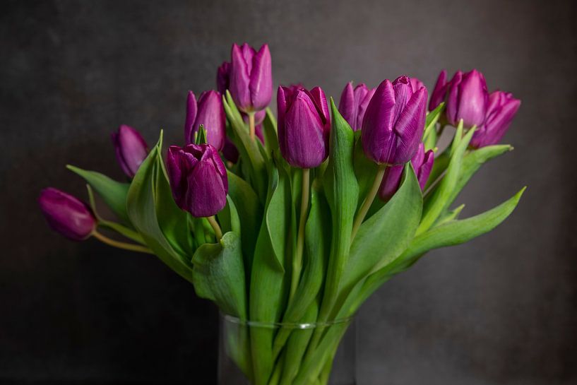bouquet of purple flowers in a glass vase with a dark background by ChrisWillemsen