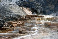 YELLOWSTONE NATIONAL PARK -  USA