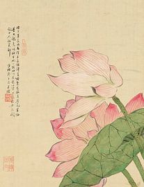 Flowers P. D., Liang Yuwei