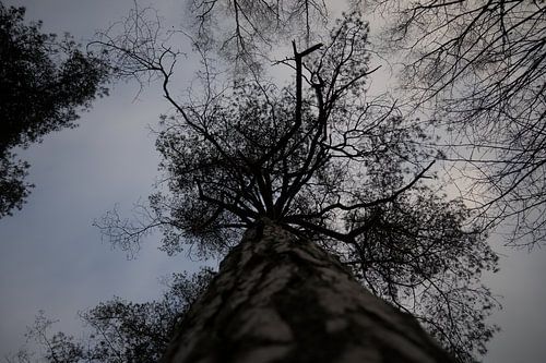 As far as the eye can see