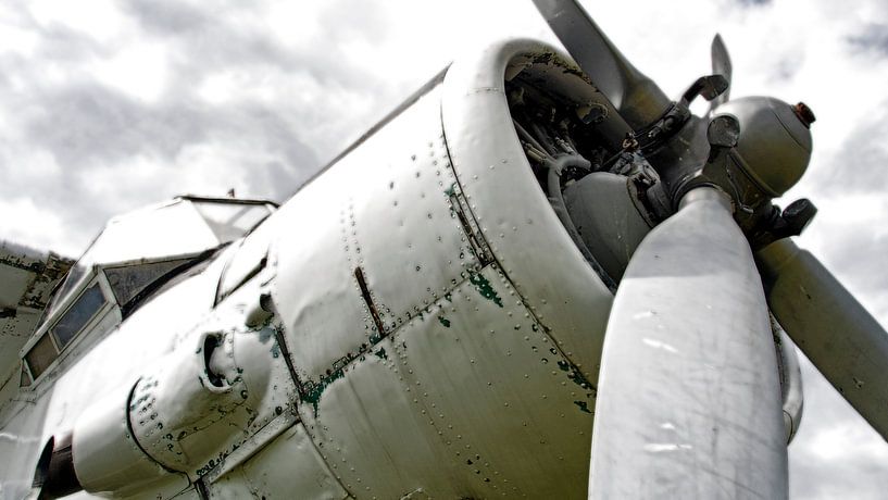 Antonov AN-2 by Pieter van Marion