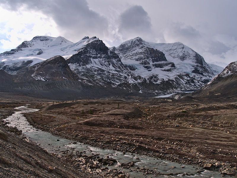 Mount Athabasca by Timon Schneider