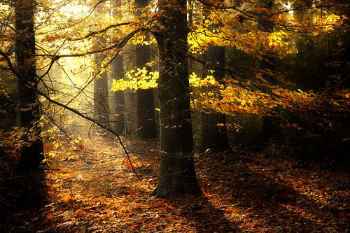 Nothing Lasts Forever