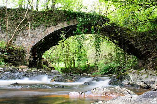 Brug ruïne in het bos