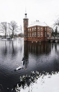 Kasteel Bouvigne in Breda met reiger in vlucht van Chihong