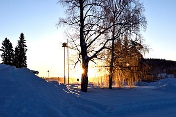 Coucher de soleil sur Christer Andersson