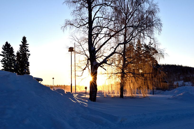 Sunset by Christer Andersson