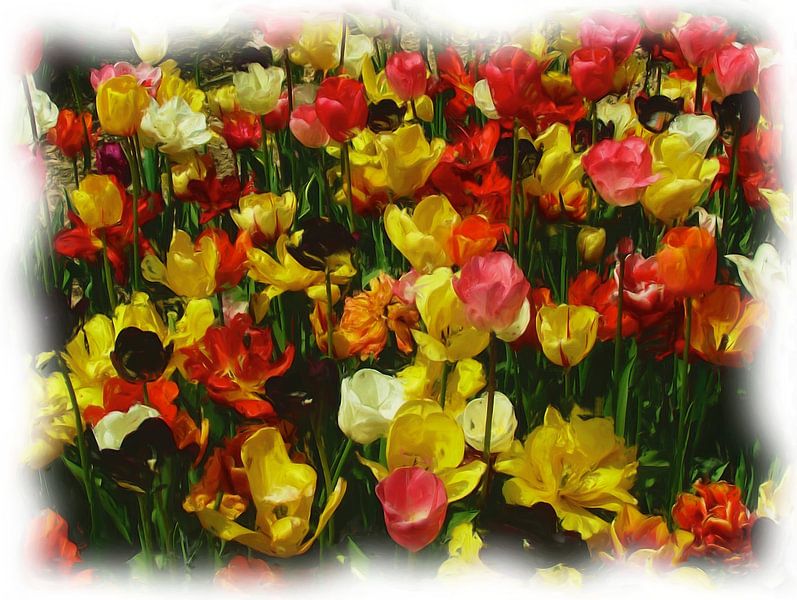 Tulips by Maurice Dawson