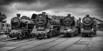 Défilé de locomotives à vapeur VSM sur Rob Boon