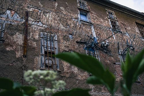 Verfallene Fassade – Stacheldraht und rostige Gitter im Angesicht der Natur