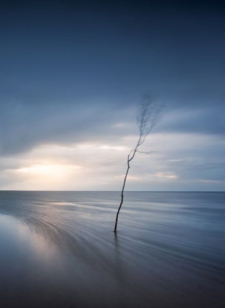 Sturm an der Nordsee von Nils Steiner