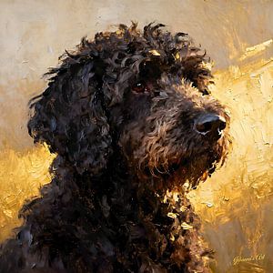 Spanischer Wasserhund