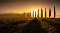 Agriturismo Poggio Covili in de zonsopgang, Toscane van Thomas Rieger thumbnail