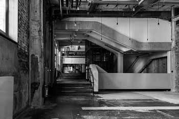 Thor Park - architecture