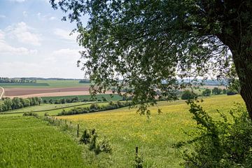 Niederländische hügelige Landschaft