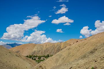 oase in Himalaya, Ladakh, India van Jan Fritz