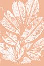 Weiße Blätter im Retro-Stil. Moderne botanische Kunst in hellem Terrakotta oder rosa lachsfarben von Dina Dankers Miniaturansicht
