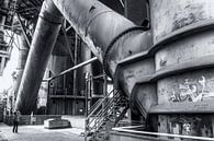 Little Woman van Ruud van Ravenswaaij thumbnail