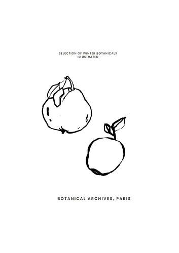 Abstract Botanics No 07