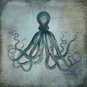 Deep Sea Ocotopus by Andrea Haase