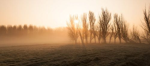 Misty Morning at Leidschendam - 1