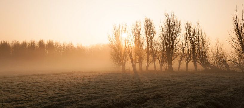 Misty Morning at Leidschendam - 1 van Damien Franscoise