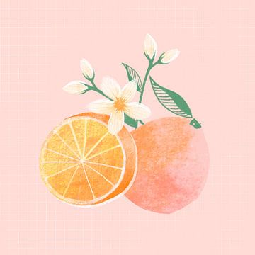 Sinaasappel met bloesem illustratie van Colors And Happiness
