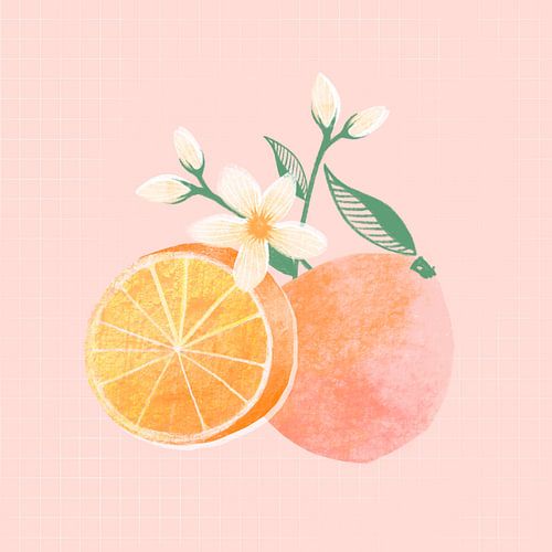 Illustration d'une orange avec une fleur