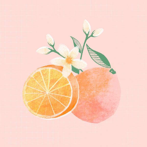 Orange mit Blüte Illustration von Femke Bender
