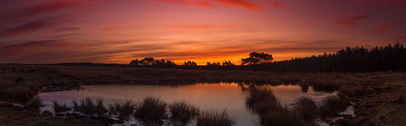 Veluwe Landscape  by Stefan Grit