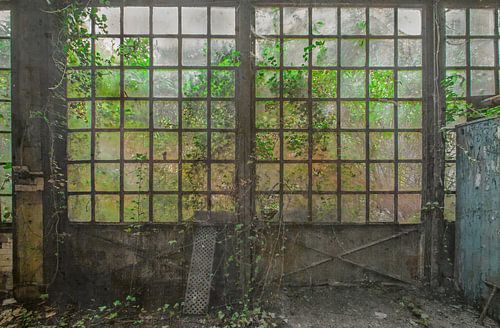 Le Jardin sauvage Fotobehang