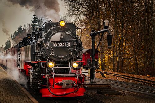 The steam locomotive in the Harz Mountains
