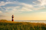 Sunset at the lighthouse of Westkapelle, Zeeland by Just Go Global thumbnail