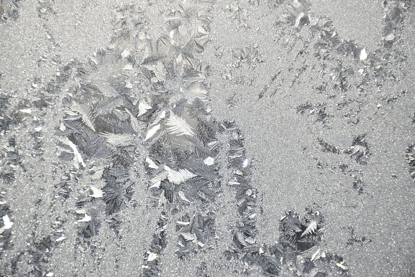 Frost in a window by Claude Laprise