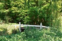 Bridge in green