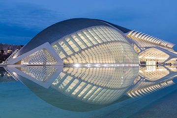 Stad van de kunst en wetenschap Valencia tijdens blauwe uurtje van Sander Groenendijk
