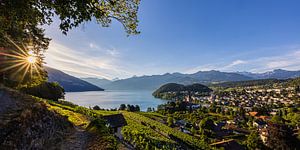 Sonnenaufgang in Spiez im Berner Oberland