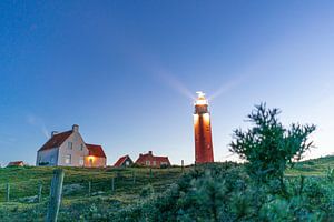 Lighthouse of Texel in evening light by The Book of Wandering