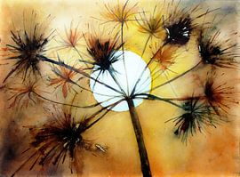 Samenstand von Christine Nöhmeier