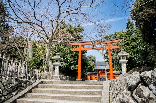 Japan von Zsa Zsa Faes