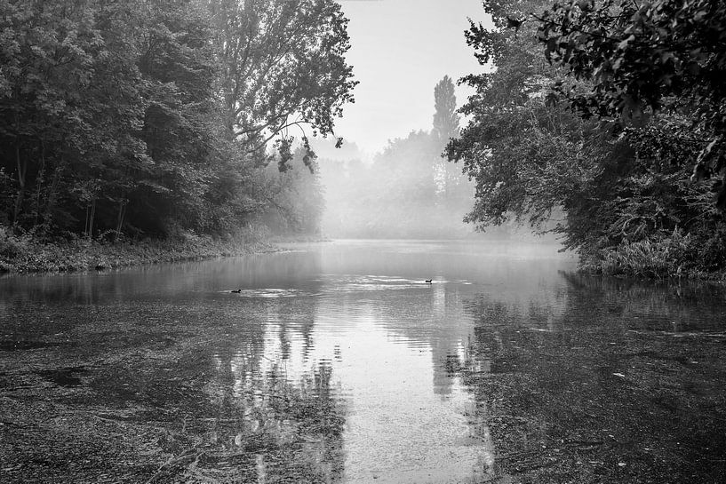 A foggy day by Consala van  der Griend