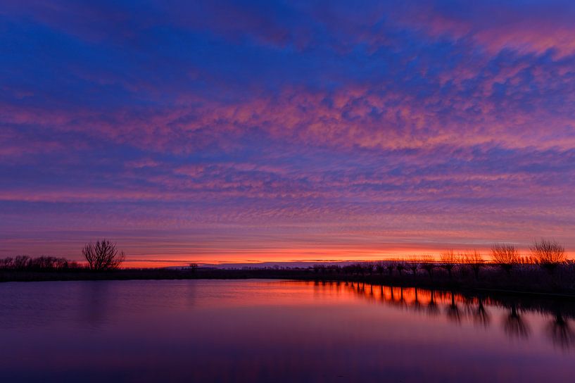 Canisvliet Creek by Peter Deschepper