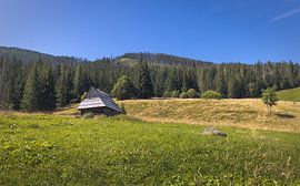 Cabane rustique dans le magnifique parc national des Tatras, en Pologne sur PhotoCluster
