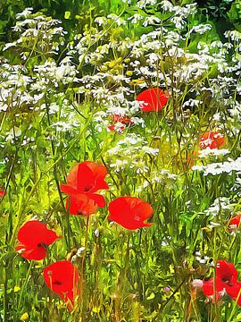 Dromerige klaprozen verstopt in wilde bloemen van Dorothy Berry-Lound