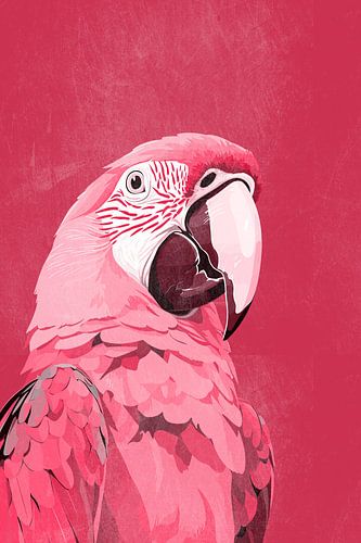 Ara Papegaai in Rood