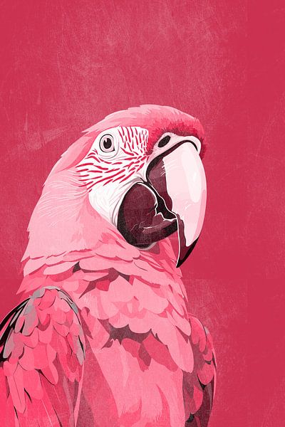 Arapapagei in Rot von Whale & Sons