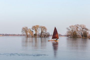 Voile de glace, Elfhoeven Reeuwijk
