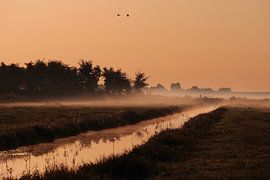 Sunrise with meadows between Warder and Edam by Annemieke de Boer