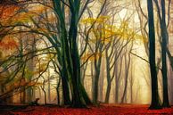 In Liebe mit dem Herbst von Lars van de Goor Miniaturansicht